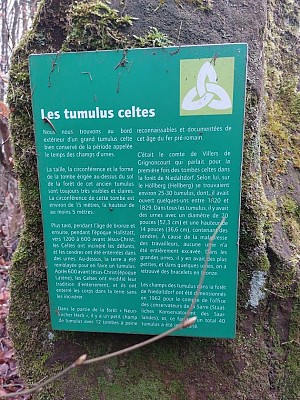Sentier des druides à Neunkirchen-lès-Bouzonville