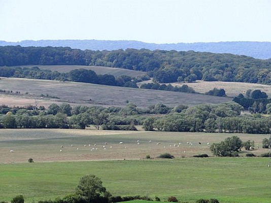 La vallée de la Nied