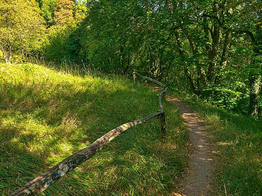 Sentier de la Réserve Naturelle de Montenach