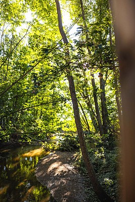 Au fil de l'eau_Chambaron-sur-Morge