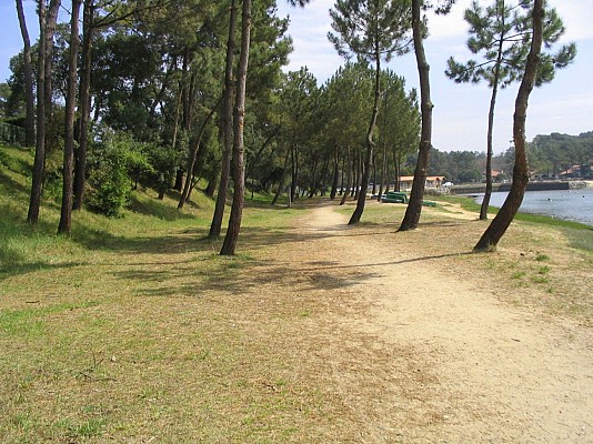 Lac