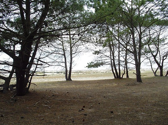 Etang de Biscarrosse