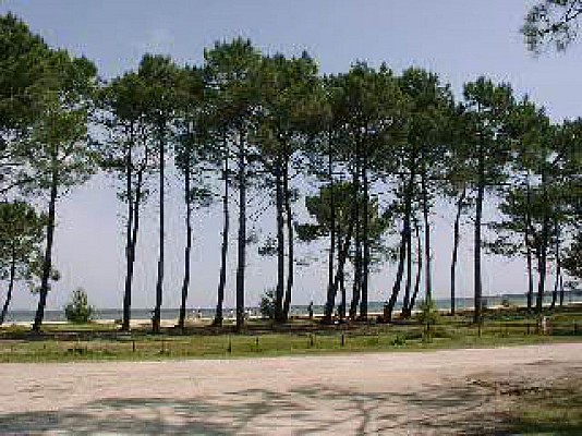 Vue depuis la piste cyclable