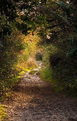 Sentier