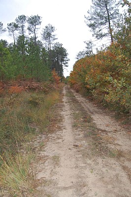 Chemin
