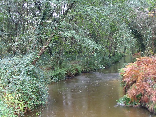 Ruisseau du Peyroux