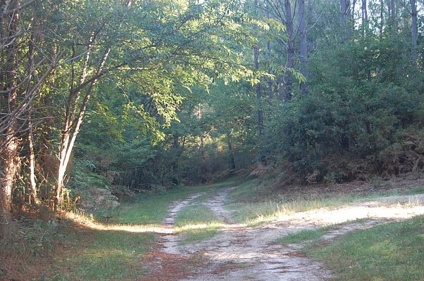 Chemin