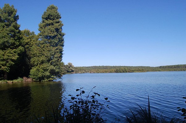 Étang de Soustons