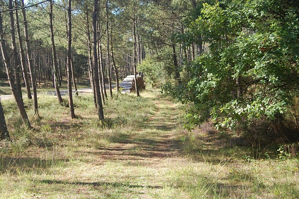 Chemin