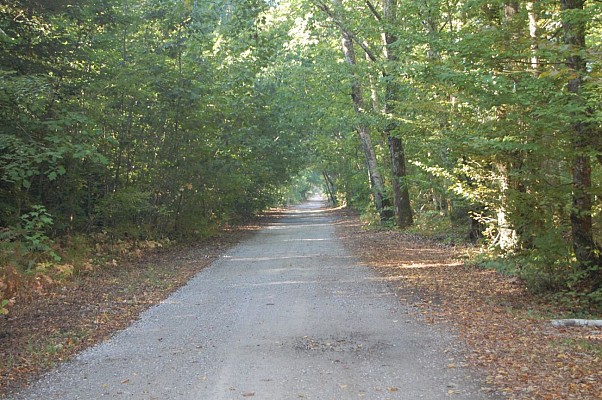 Chemin