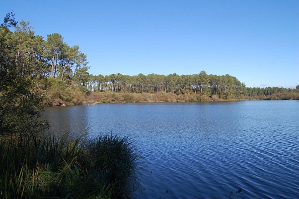 Etang de Moliets