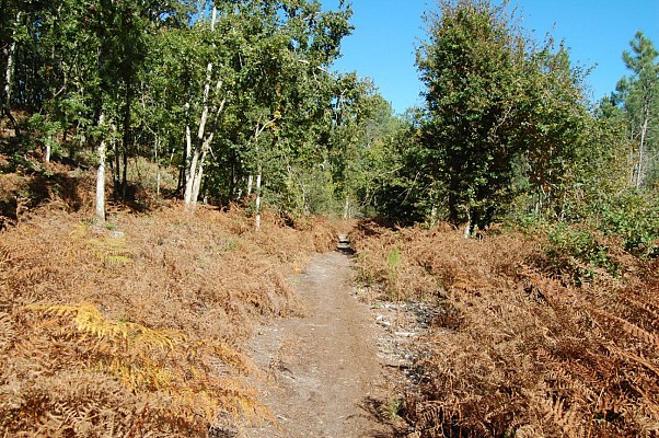 Chemin