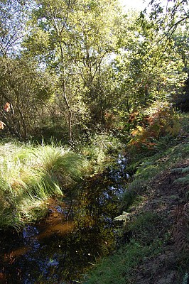 Ruisseau de Bouhettes
