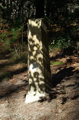Pierre de Tinon