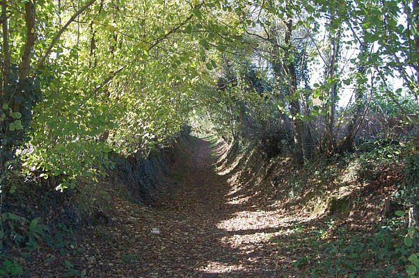 Chemin
