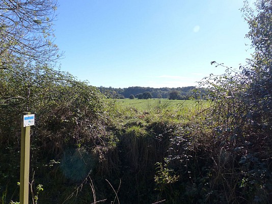 Vue sur la Barthe