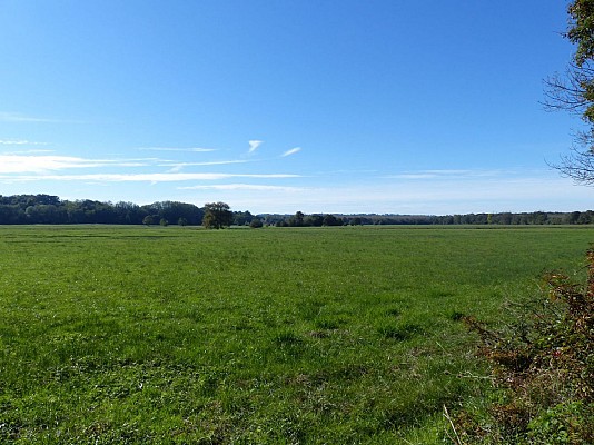 Barthe à foin