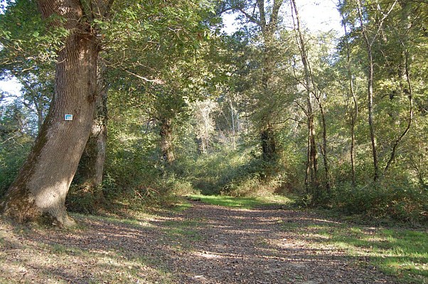Chemin de halage