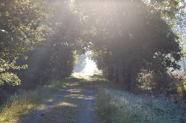 Sentier