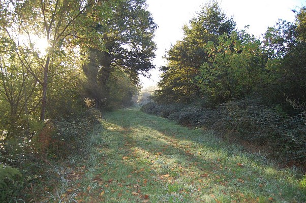 Chemin de halage
