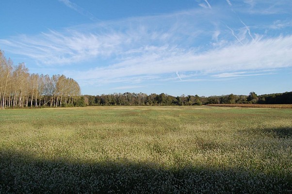Plaine de le Grabes