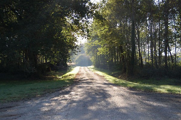 Route vers Téthieu