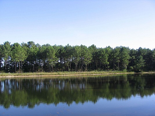 Plan d'eau