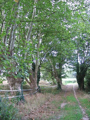 Chemin