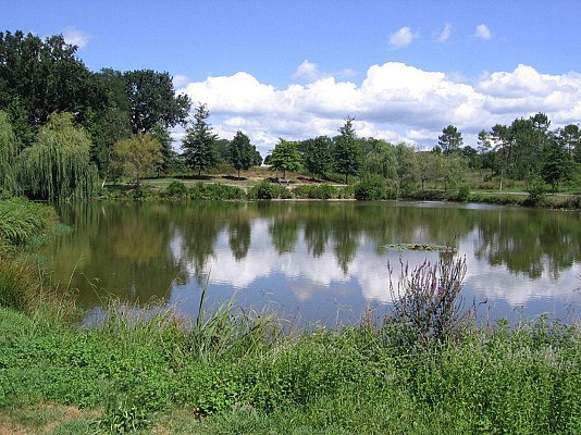 Etang