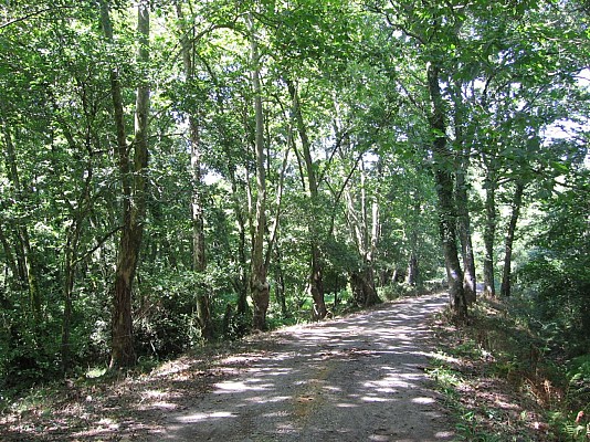 Chemin