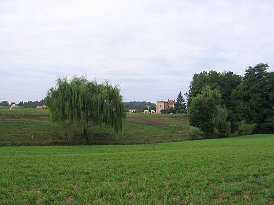 Plateau agricole