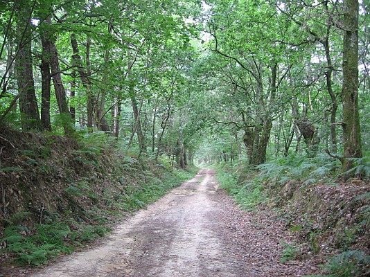 Chemin