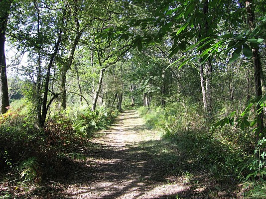 Chemin