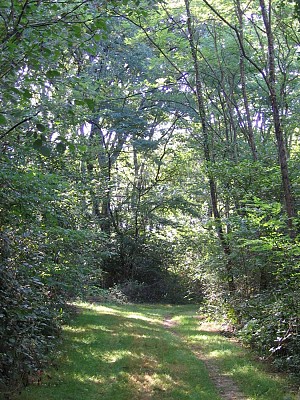 Chemin