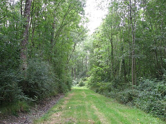 Sentier