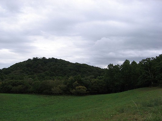 Vue
