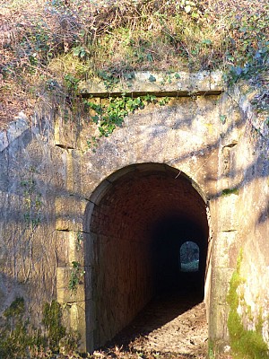 Entrée boviduc