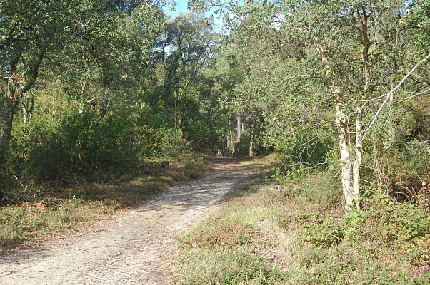 Chemin