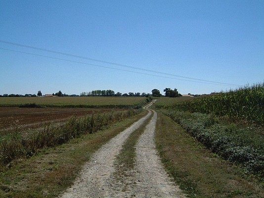 Plateau