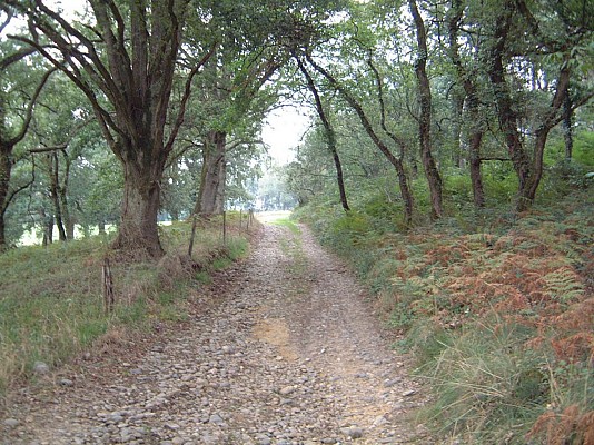 Chemin