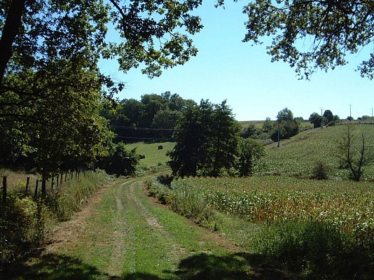 Paysage du Tursan