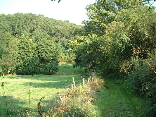 Chemin