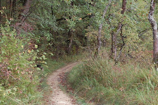 Sentier