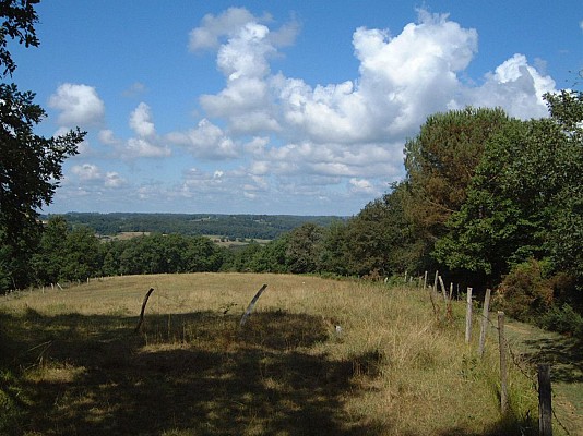 Panorama
