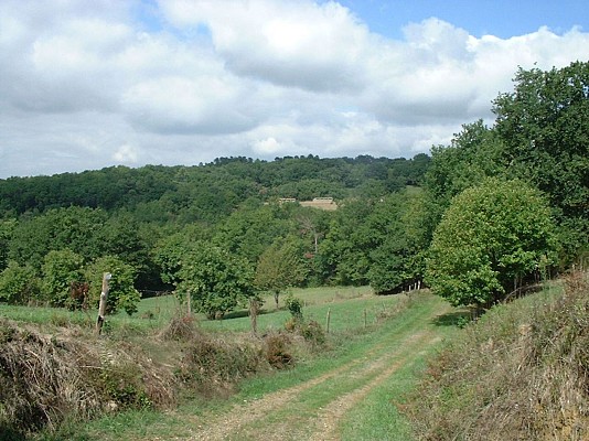 Vallon