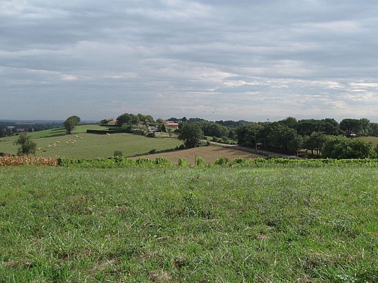 Panorama du Tursan