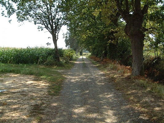 Chemin