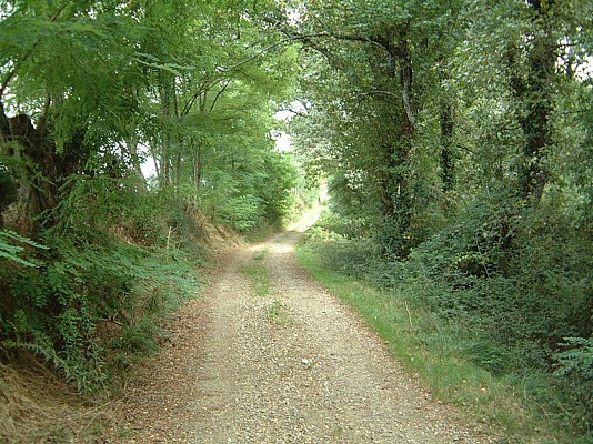 Chemin