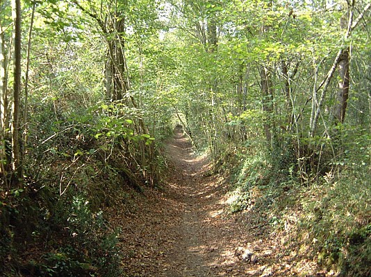 Sentier