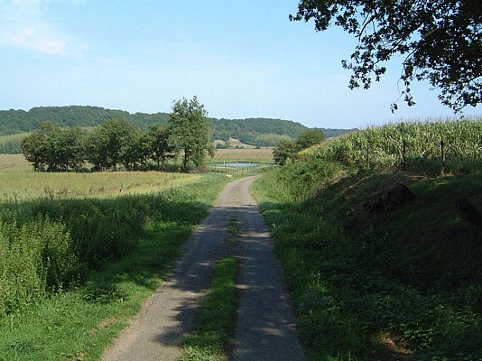 Petite route